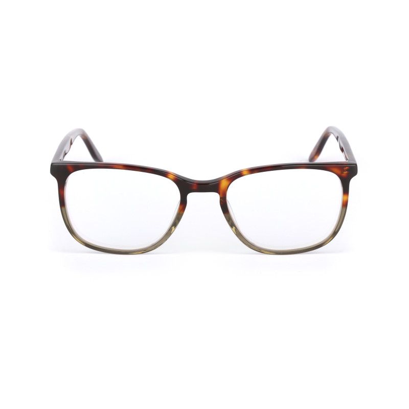 Tortoise Crystal Grey