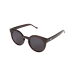 Rot